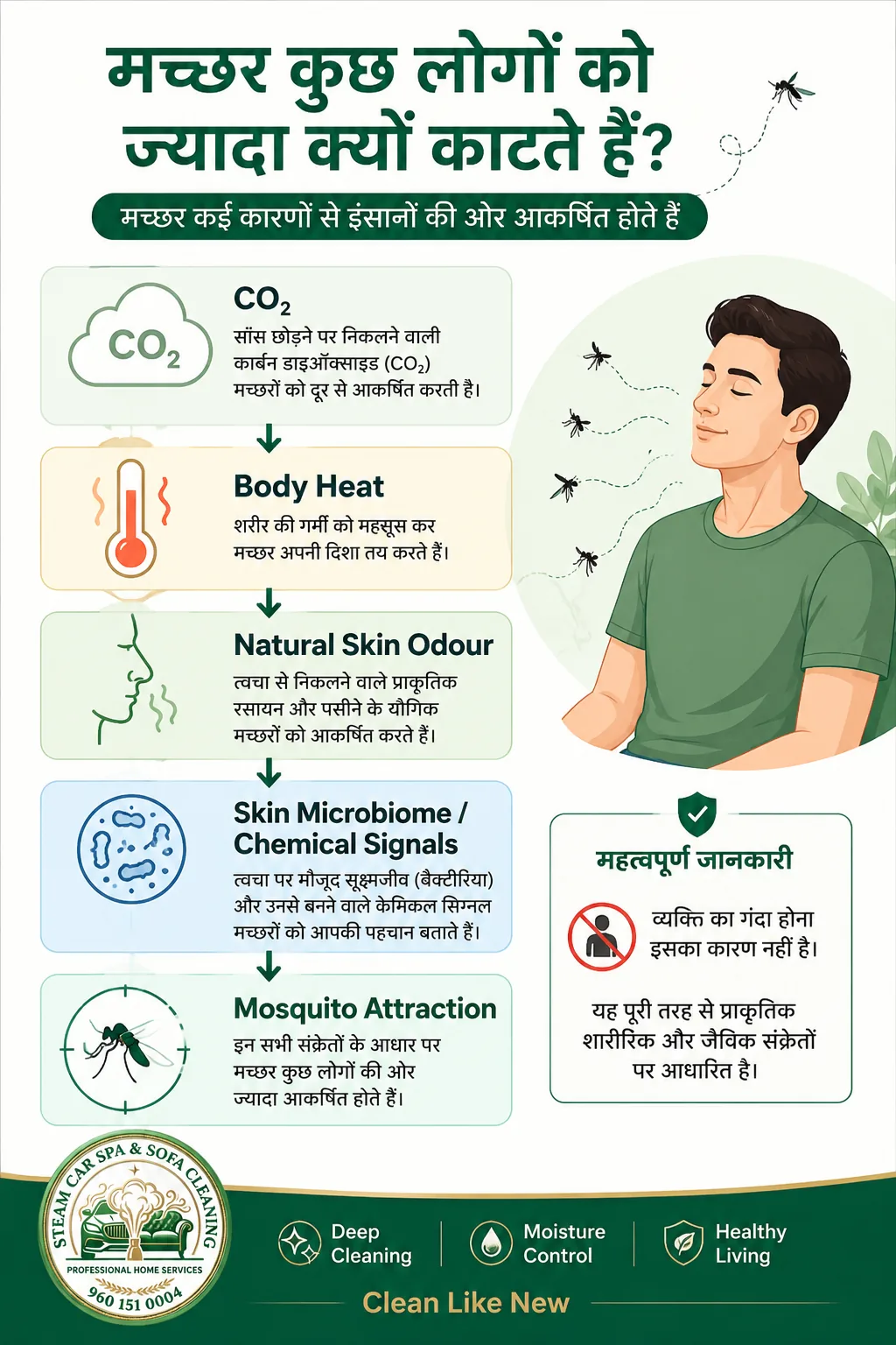 Why Do Mosquitoes Choose Some People Infographic